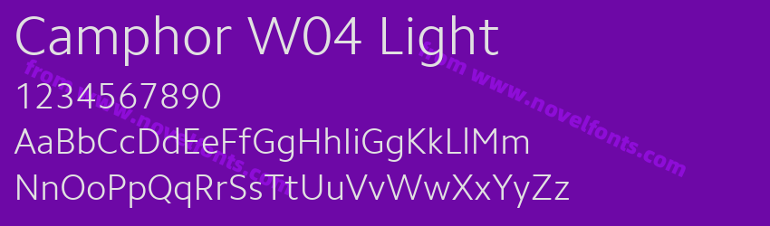Camphor W04 LightPreview Camphor W04 LightPreview