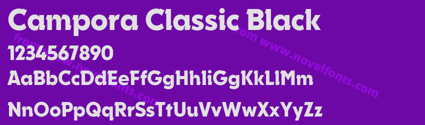 Campora Classic BlackPreview