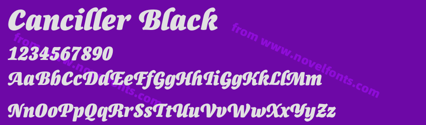 Canciller BlackPreview Canciller BlackPreview