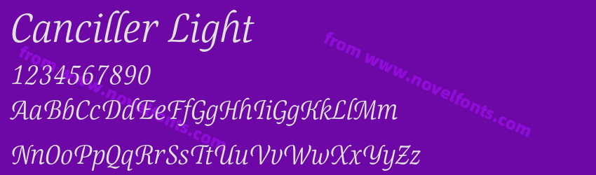 Canciller LightPreview Canciller LightPreview