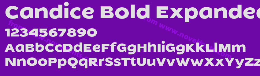 Candice Bold ExpandedPreview