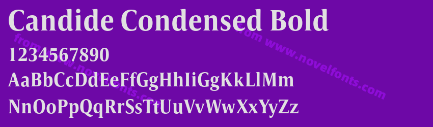 Candide Condensed BoldPreview Candide Condensed BoldPreview