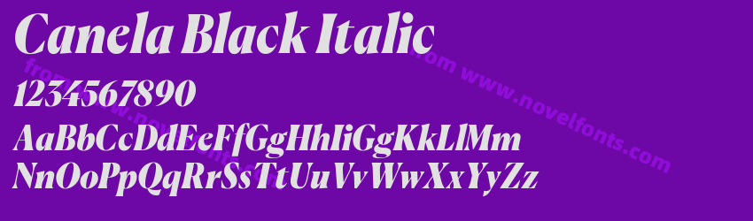 Canela Black ItalicPreview Canela Black ItalicPreview