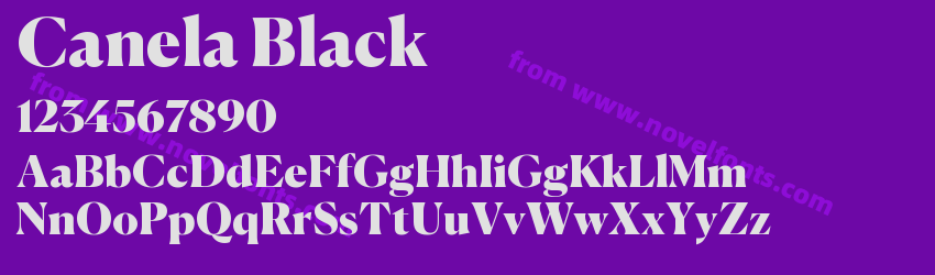 Canela BlackPreview Canela BlackPreview