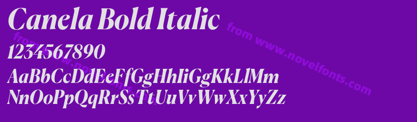 Canela Bold ItalicPreview Canela Bold ItalicPreview