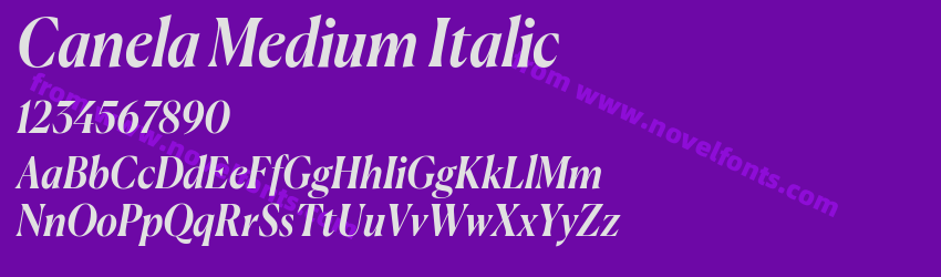 Canela Medium ItalicPreview Canela Medium ItalicPreview