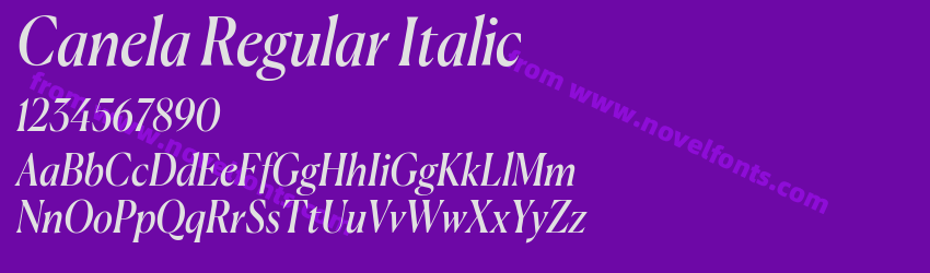 Canela Regular ItalicPreview Canela Regular ItalicPreview