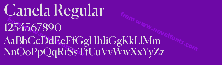Canela RegularPreview Canela RegularPreview