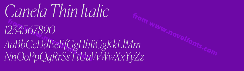 Canela Thin ItalicPreview Canela Thin ItalicPreview