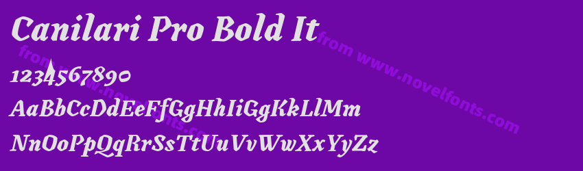 Canilari Pro Bold ItPreview Canilari Pro Bold ItPreview