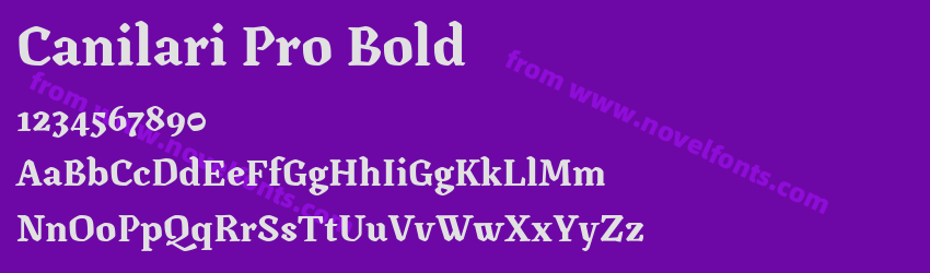 Canilari Pro BoldPreview Canilari Pro BoldPreview