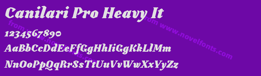 Canilari Pro Heavy ItPreview Canilari Pro Heavy ItPreview