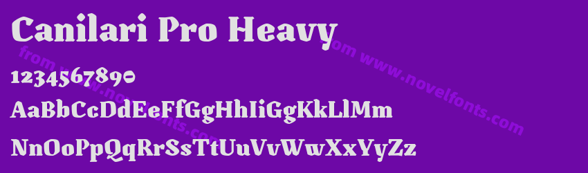 Canilari Pro HeavyPreview Canilari Pro HeavyPreview