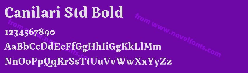Canilari Std BoldPreview Canilari Std BoldPreview