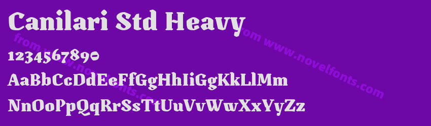 Canilari Std HeavyPreview Canilari Std HeavyPreview