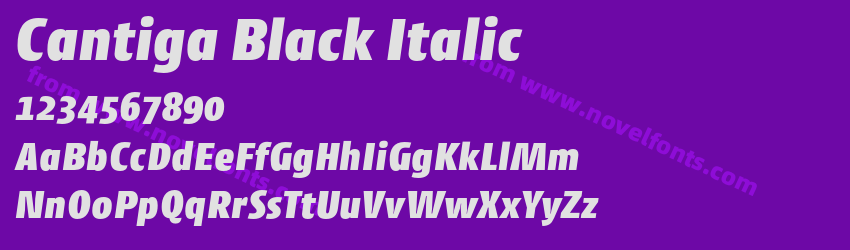 Cantiga Black ItalicPreview Cantiga Black ItalicPreview