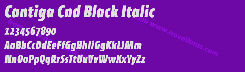 Cantiga Cnd Black ItalicPreview Cantiga Cnd Black ItalicPreview