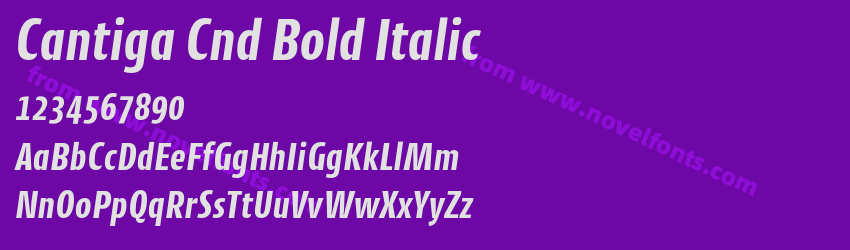 Cantiga Cnd Bold ItalicPreview Cantiga Cnd Bold ItalicPreview