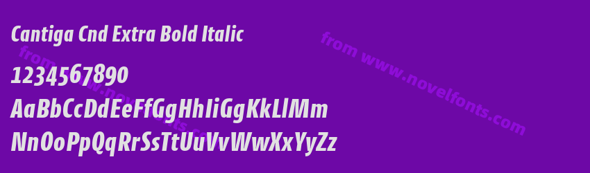 Cantiga Cnd Extra Bold ItalicPreview Cantiga Cnd Extra Bold ItalicPreview