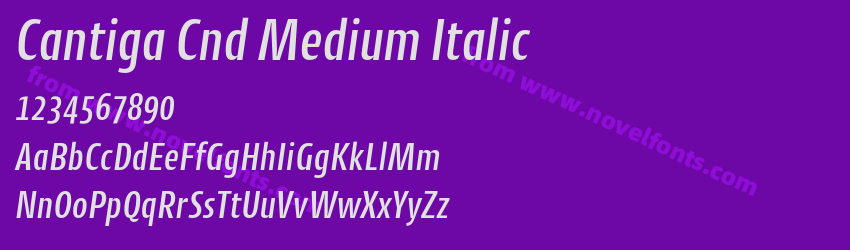 Cantiga Cnd Medium ItalicPreview Cantiga Cnd Medium ItalicPreview