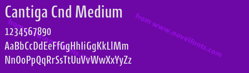Cantiga Cnd MediumPreview Cantiga Cnd MediumPreview