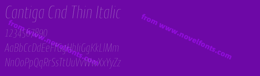 Cantiga Cnd Thin ItalicPreview Cantiga Cnd Thin ItalicPreview