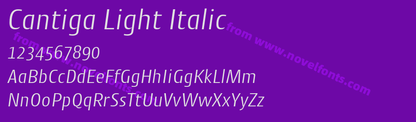 Cantiga Light ItalicPreview Cantiga Light ItalicPreview