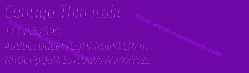 Cantiga Thin ItalicPreview Cantiga Thin ItalicPreview