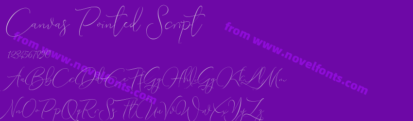 Canvas Pointed ScriptPreview Canvas Pointed ScriptPreview