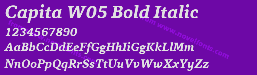 Capita W05 Bold ItalicPreview Capita W05 Bold ItalicPreview