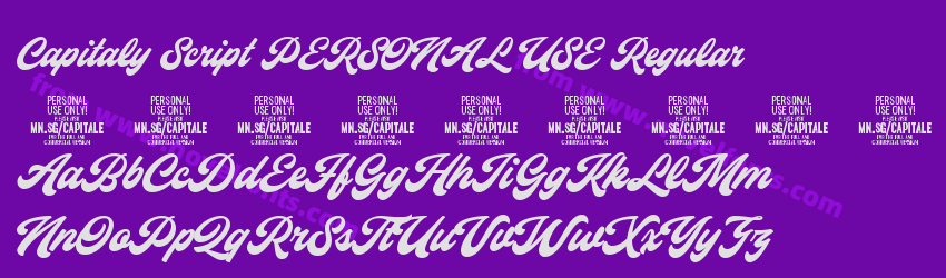 Capitaly Script PERSONAL USE RegularPreview Capitaly Script PERSONAL USE RegularPreview
