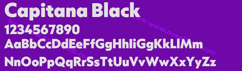 Capitana BlackPreview Capitana BlackPreview