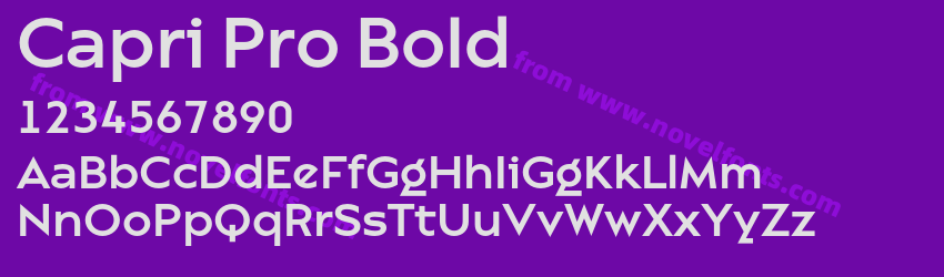 Capri Pro BoldPreview Capri Pro BoldPreview