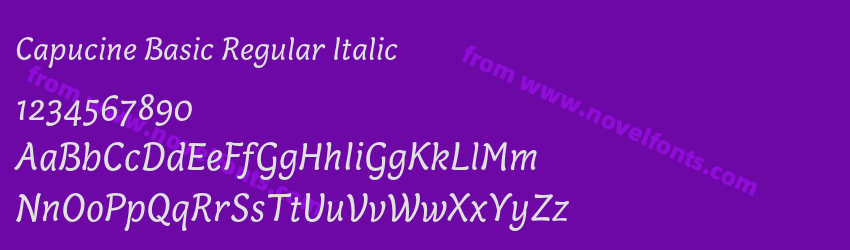 Capucine Basic Regular ItalicPreview Capucine Basic Regular ItalicPreview