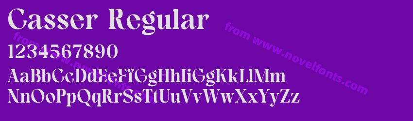 Casser RegularPreview Casser RegularPreview