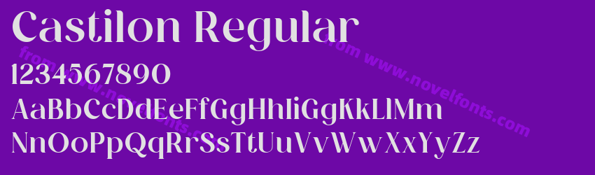 Castilon RegularPreview Castilon RegularPreview