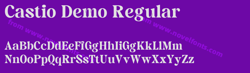 Castio Demo RegularPreview Castio Demo RegularPreview