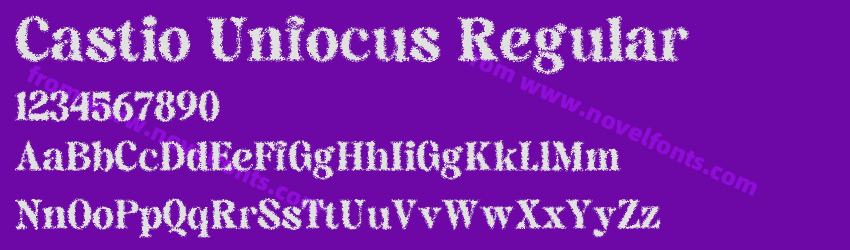 Castio Unfocus RegularPreview Castio Unfocus RegularPreview