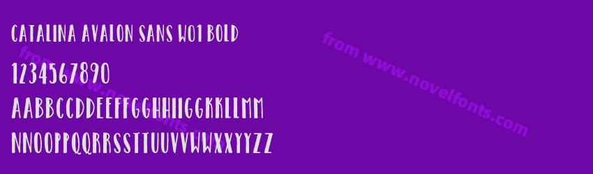 Catalina Avalon Sans W01 BoldPreview Catalina Avalon Sans W01 BoldPreview