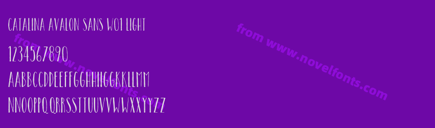 Catalina Avalon Sans W01 LightPreview Catalina Avalon Sans W01 LightPreview