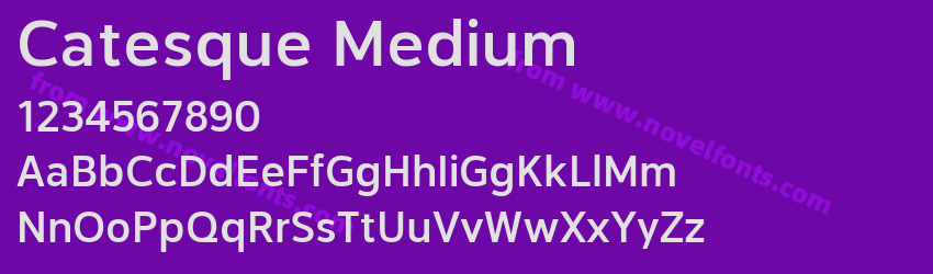 Catesque MediumPreview Catesque MediumPreview