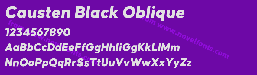 Causten Black ObliquePreview Causten Black ObliquePreview