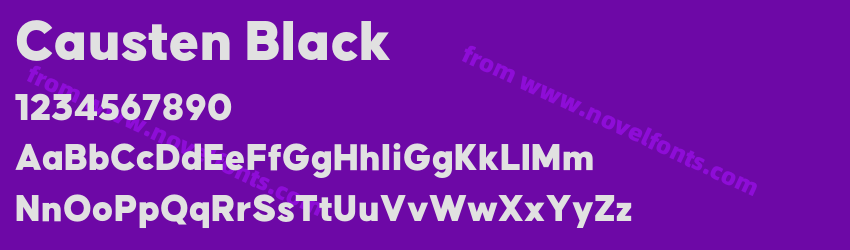 Causten BlackPreview Causten BlackPreview