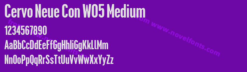 Cervo Neue Con W05 MediumPreview Cervo Neue Con W05 MediumPreview