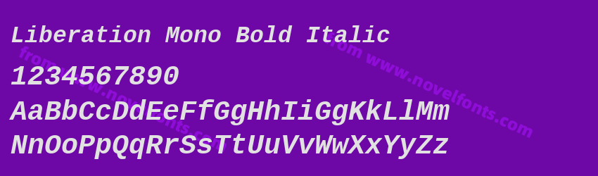 Liberation Mono Bold ItalicPreview