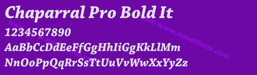 Chaparral Pro Bold ItPreview