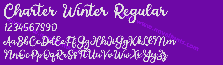 Charter Winter RegularPreview Charter Winter RegularPreview