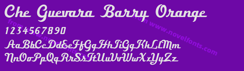 Che Guevara Barry OrangePreview Che Guevara Barry OrangePreview
