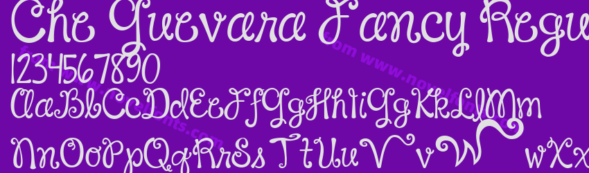 Che Guevara Fancy RegularPreview Che Guevara Fancy RegularPreview