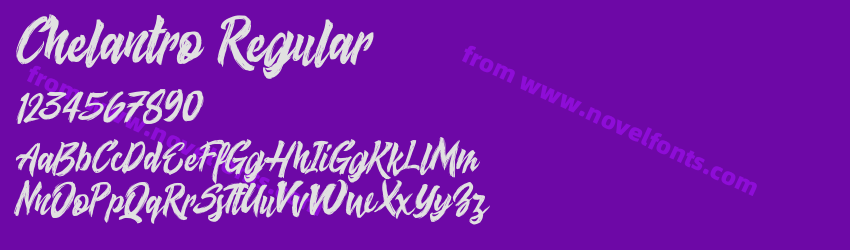 Chelantro RegularPreview Chelantro RegularPreview